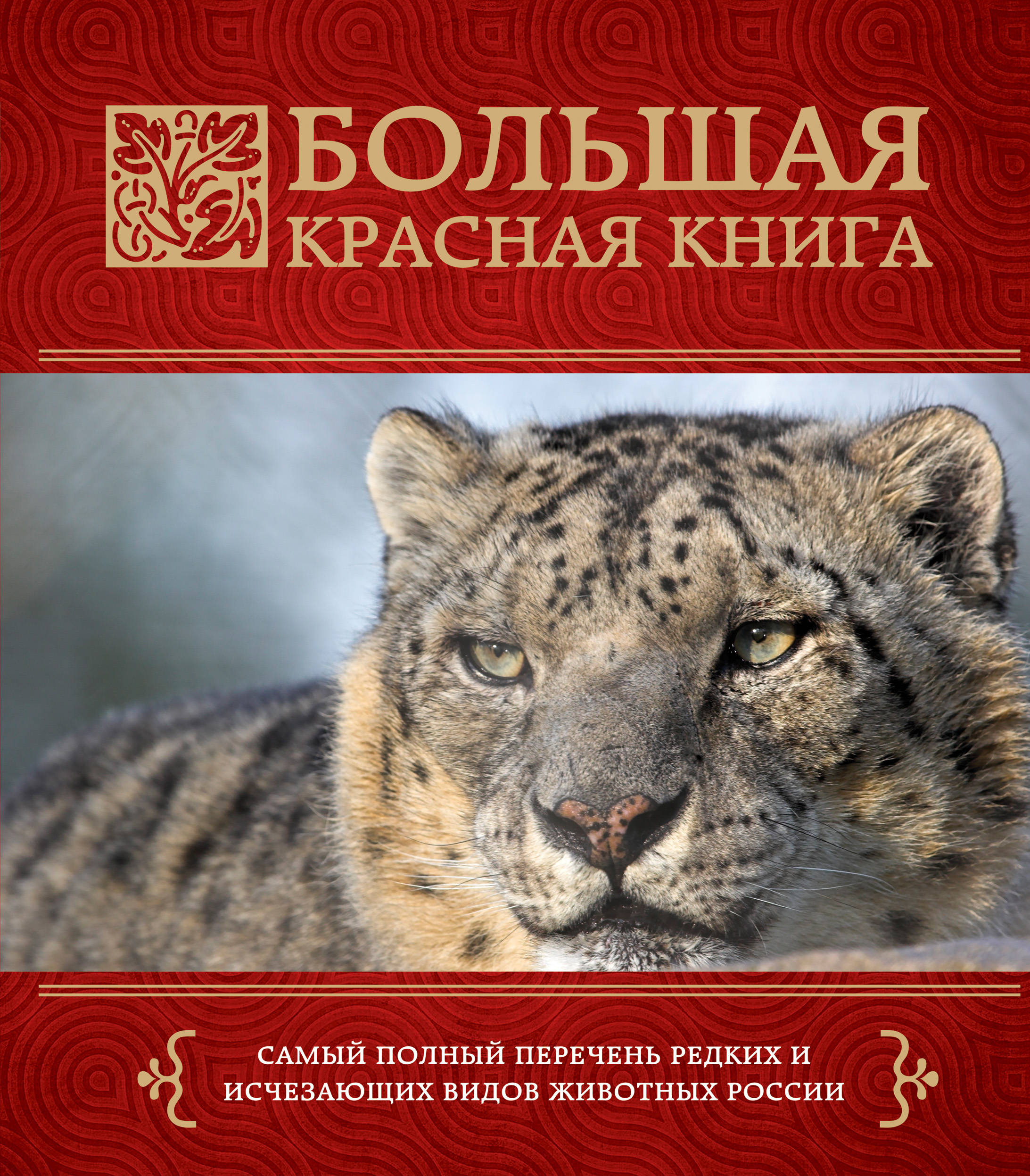 Красная Книга Фото