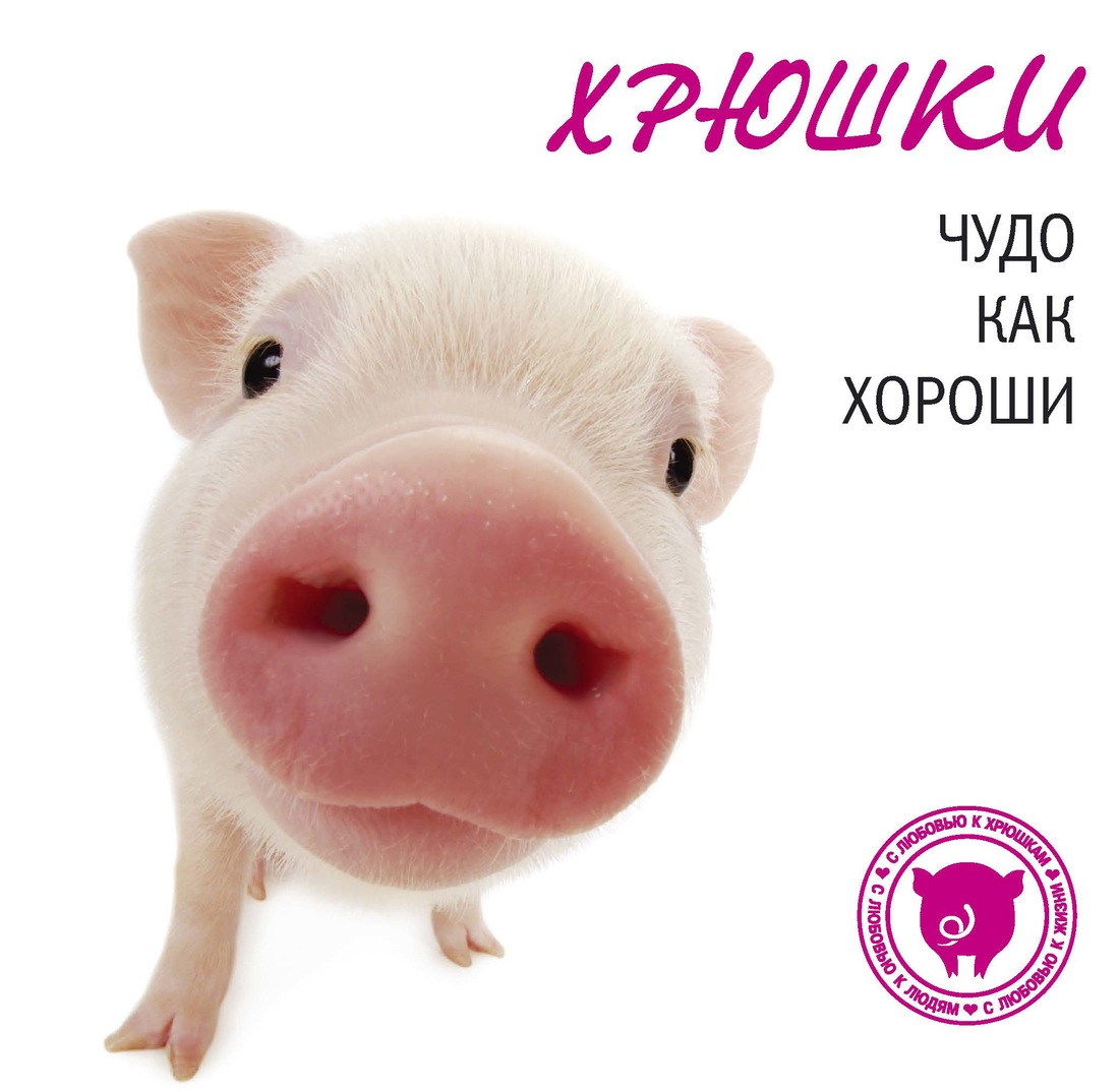 Картинка повторюша дядя хрюша